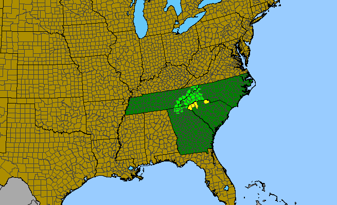 The range of Pycnanthemum montanum